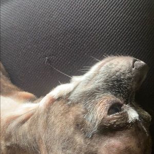 Meet your Posher, Katherine